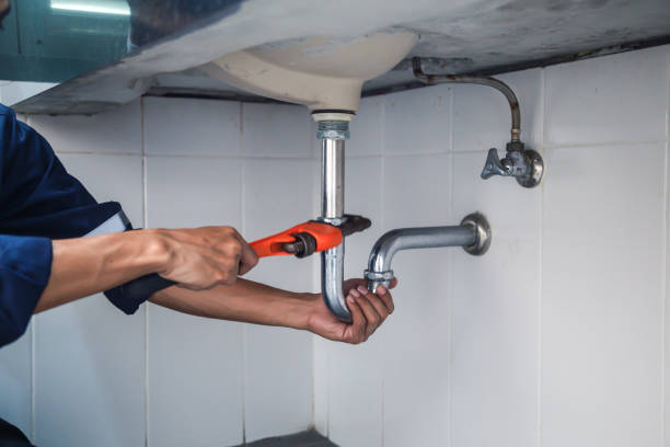 Best Clogged Drain Plumber  in Monte Vista, CO